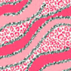 Meet your Posher, Nicoletta